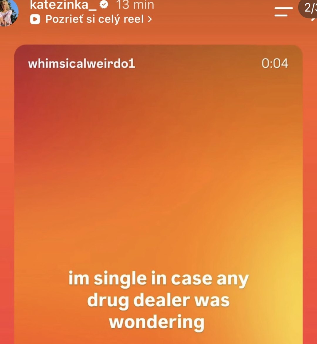 Storka Katežinky s memom I'm single in case any drug dealer was wondering